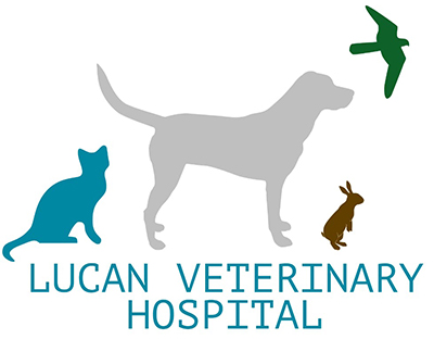 Lucan Veterniary Hospital Logo